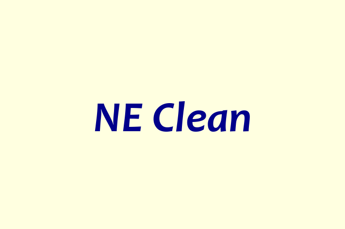 NE Clean