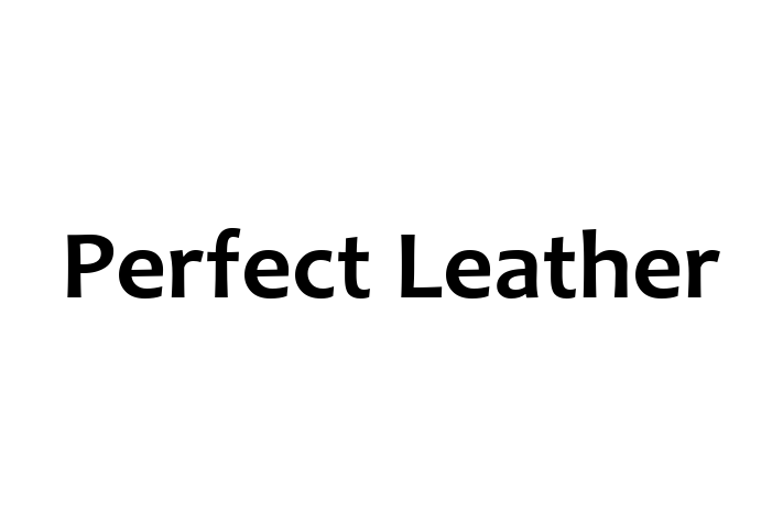 Perfect Leather