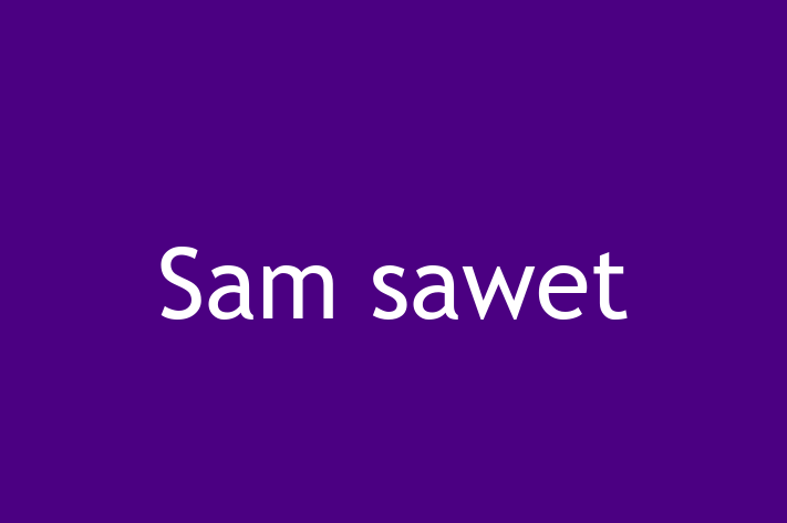 Cat Sam sawet for Sale in Cheadle Hulme