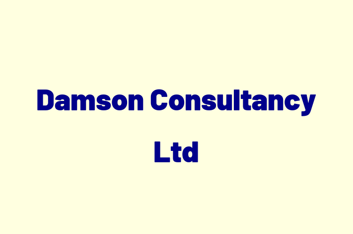 Damson Consultancy Ltd