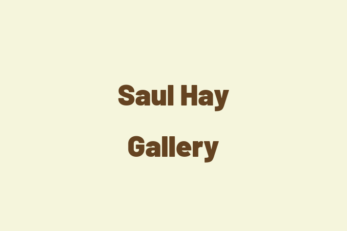 Saul Hay Gallery