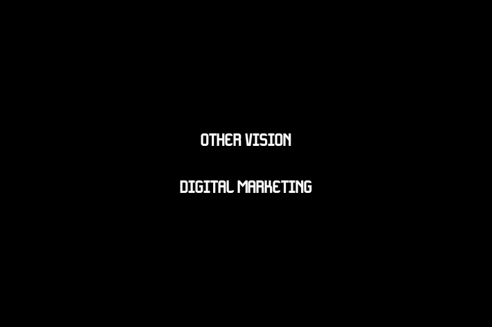 Other Vision Digital Marketing