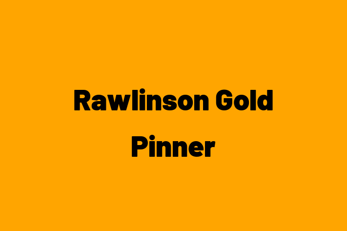 Rawlinson Gold Pinner