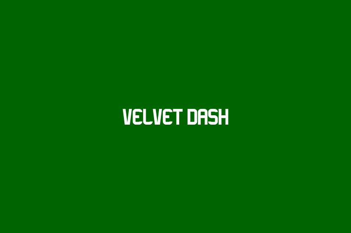 Velvet Dash