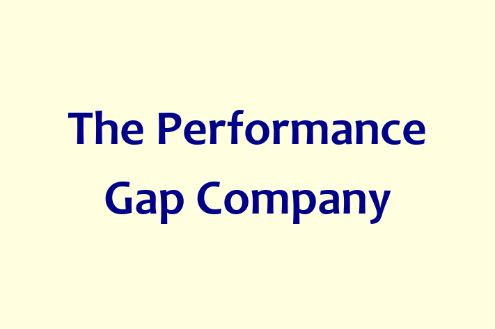 The Performance Gap Company