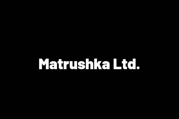 Matrushka Ltd 