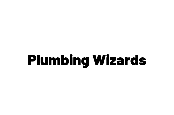 Plumbing Wizards