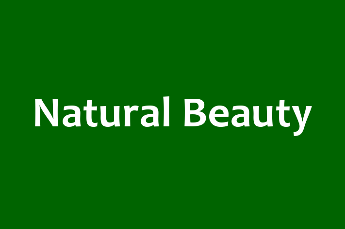 Natural Beauty