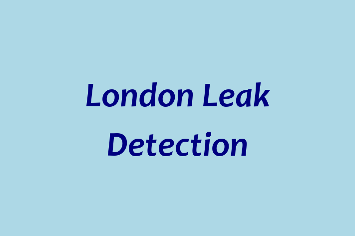 London Leak Detection