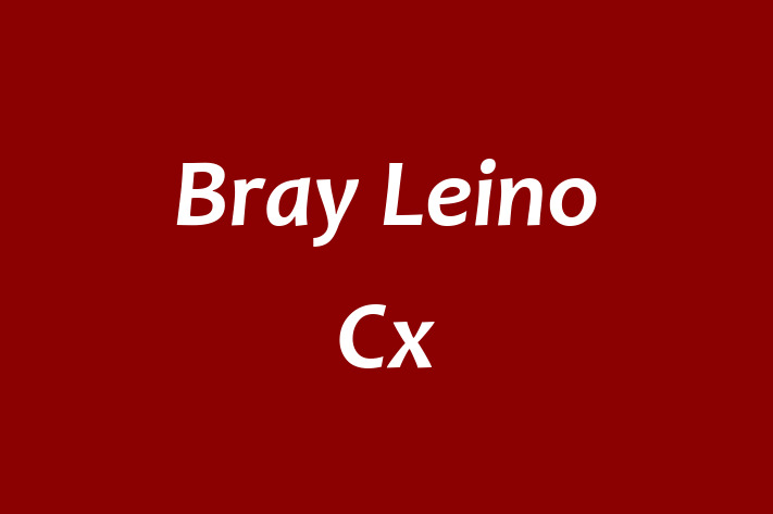 Bray Leino Cx