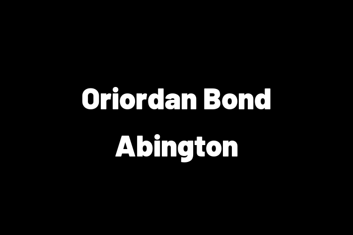 Oriordan Bond Abington