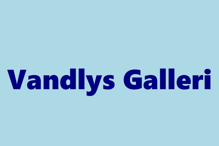 Vandlys Galleri