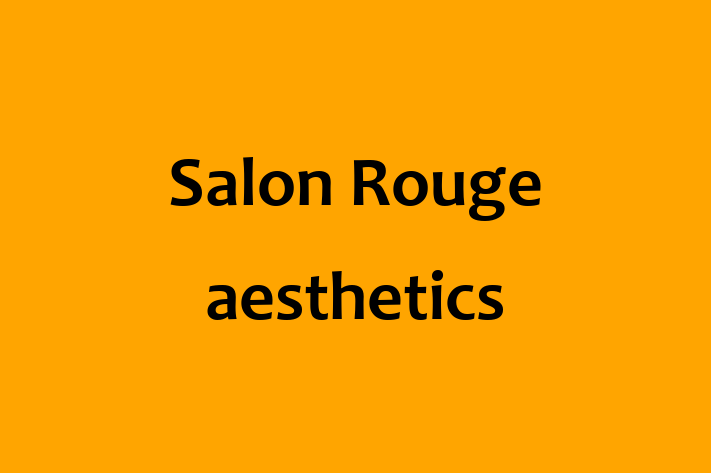 Salon Rouge aesthetics