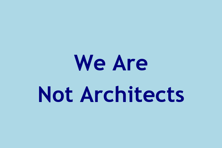 We Are Not Architects