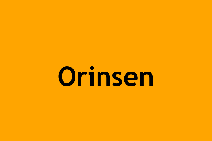 Orinsen