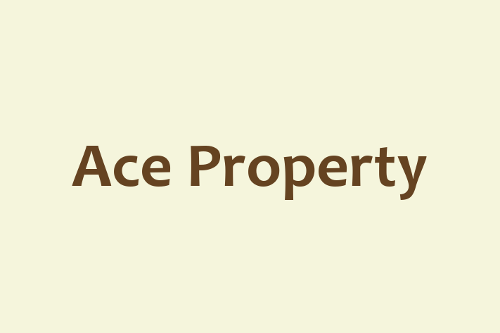 Ace Property