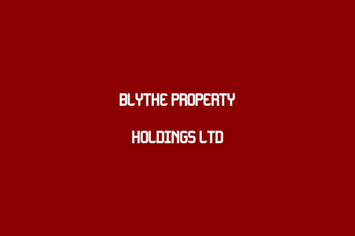 Blythe Property Holdings Ltd