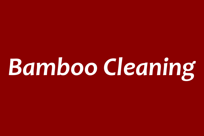 Bamboo Cleaning