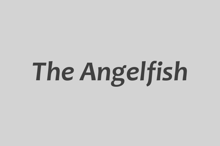 The Angelfish