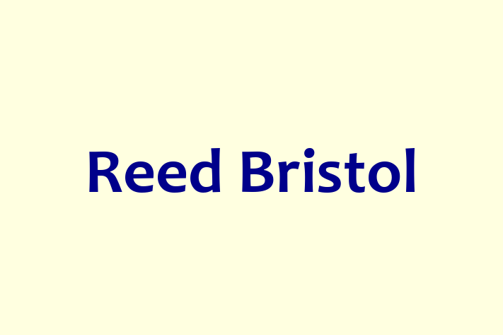 Reed Bristol