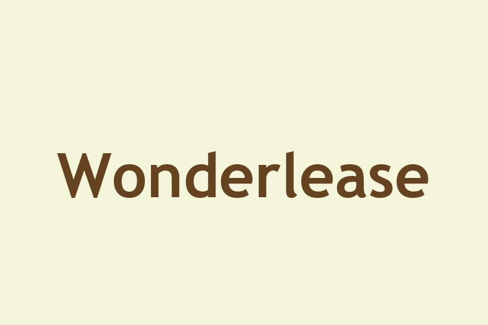 Wonderlease