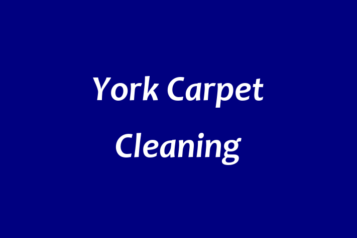 York Carpet Cleaning