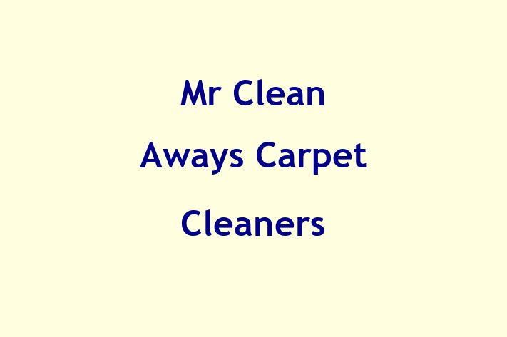 Mr Clean Aways   Carpet Cleaners