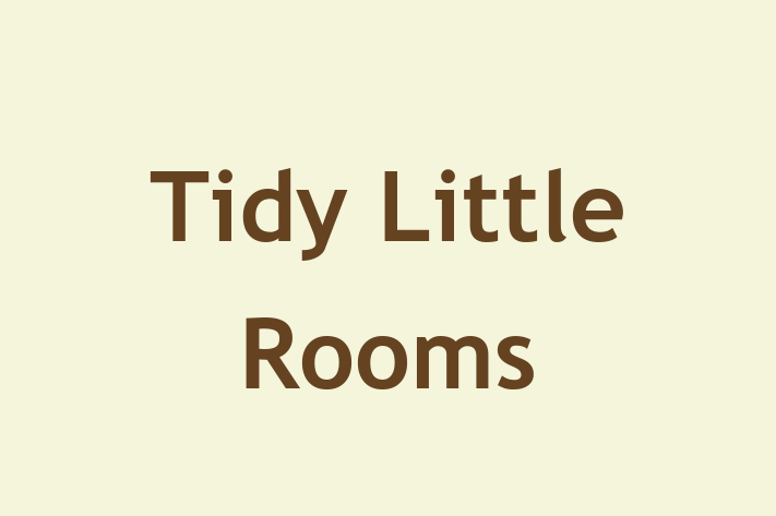 Tidy Little Rooms