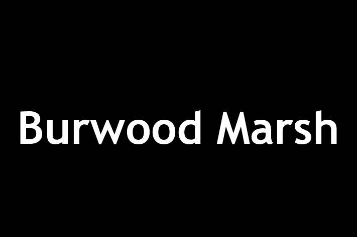 Burwood Marsh