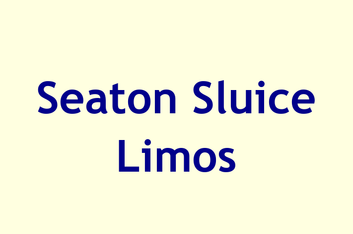 Seaton Sluice Limos