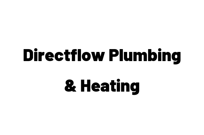 Directflow Plumbing & Heating