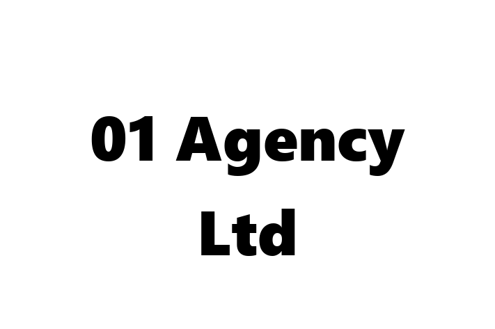 01 Agency Ltd