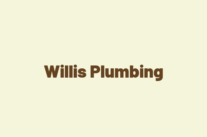 Willis Plumbing