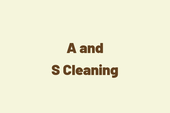 A and S Cleaning