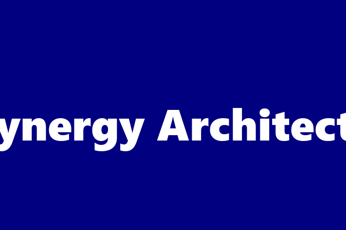 Synergy Architects