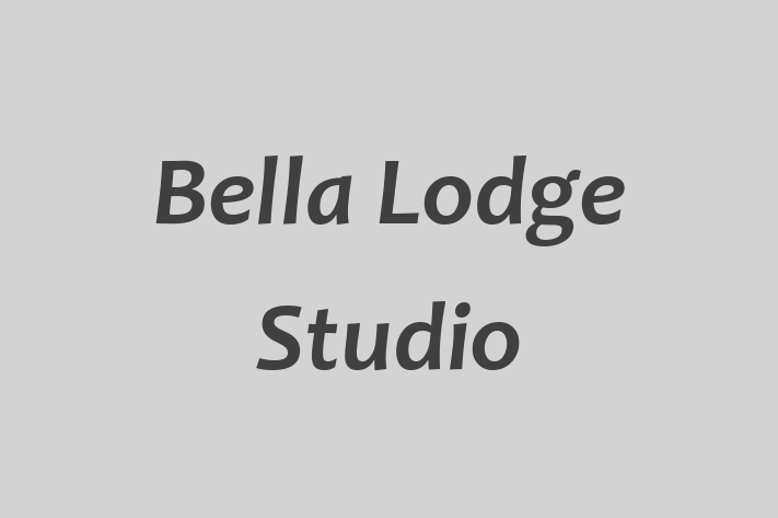 Bella Lodge Studio