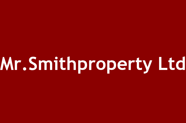 Mr Smithproperty Ltd