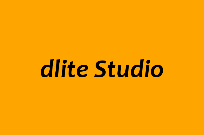 dlite Studio