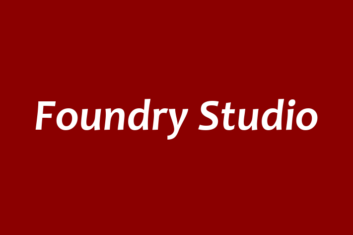 Foundry Studio