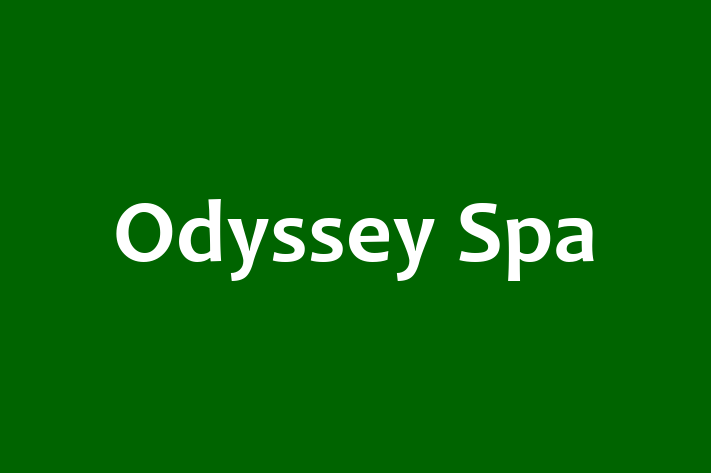 Odyssey Spa