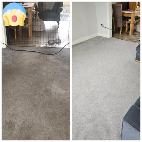 Carpetcleaningwarrington co uk