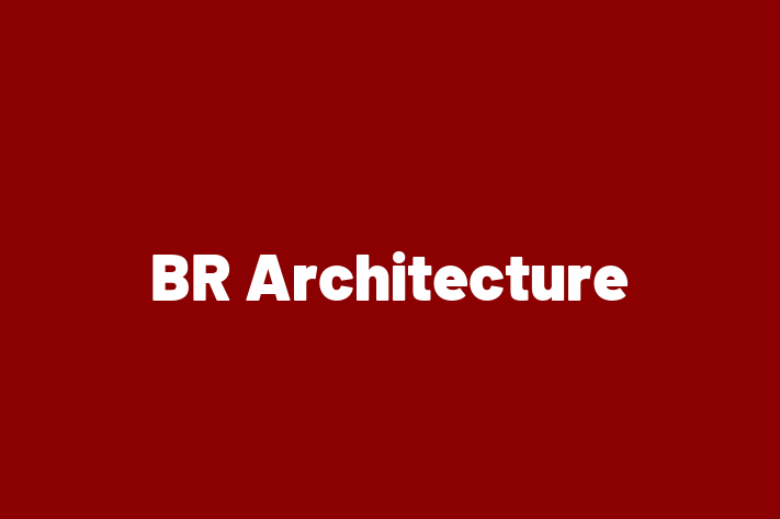 BR Architecture