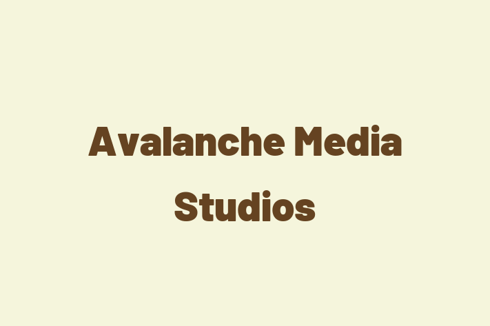 Avalanche Media Studios