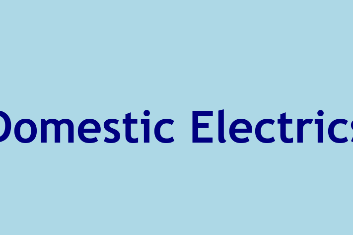 Domestic Electrics