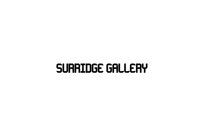 Surridge Gallery