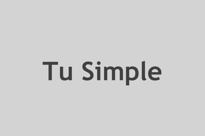 Tu Simple