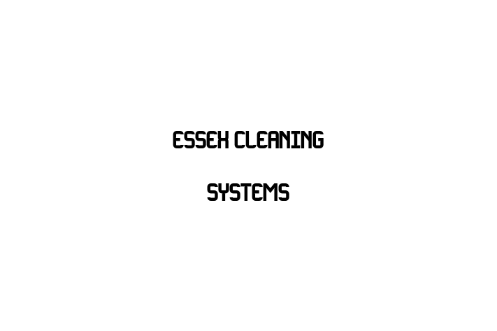 Essex cleaning systems