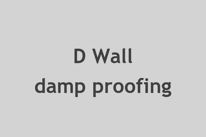 D Wall damp proofing