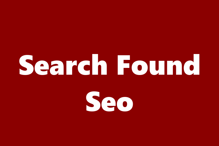 Search Found Seo