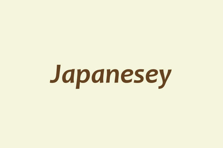 Japanesey